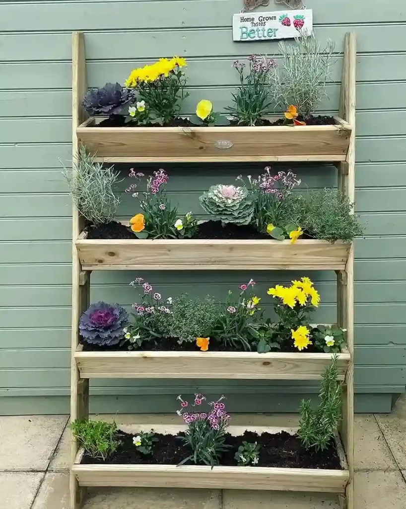 3 Old Ladder Plant Display