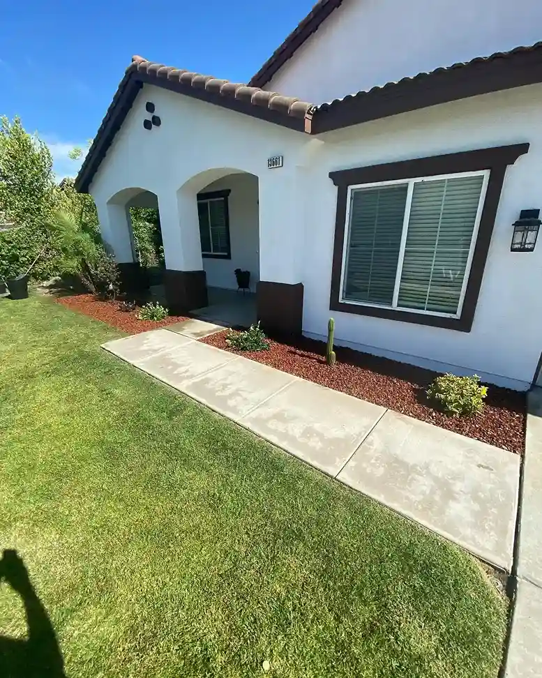 3 red Lava Rock for Tropical Vibes