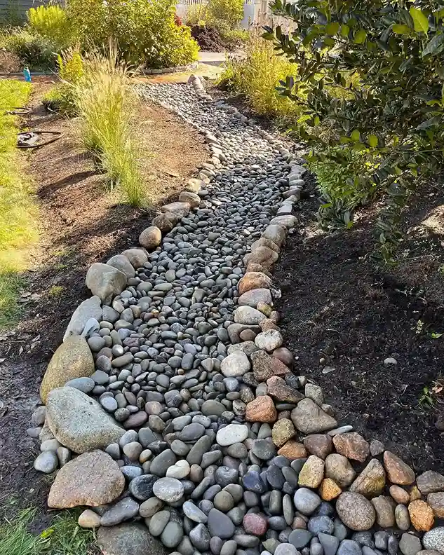 3. Dry Creek Bed