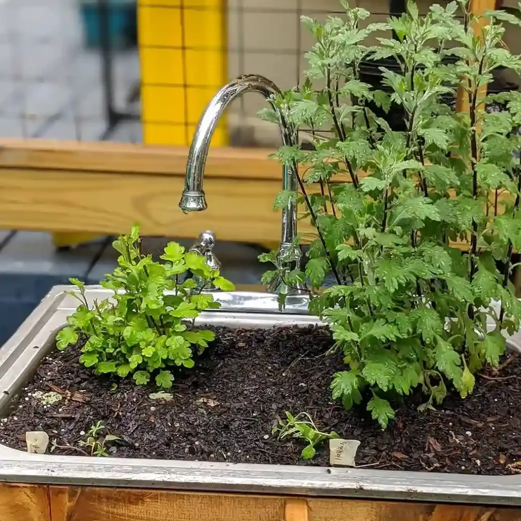 4 Repurposed Kitchen Sink Planter