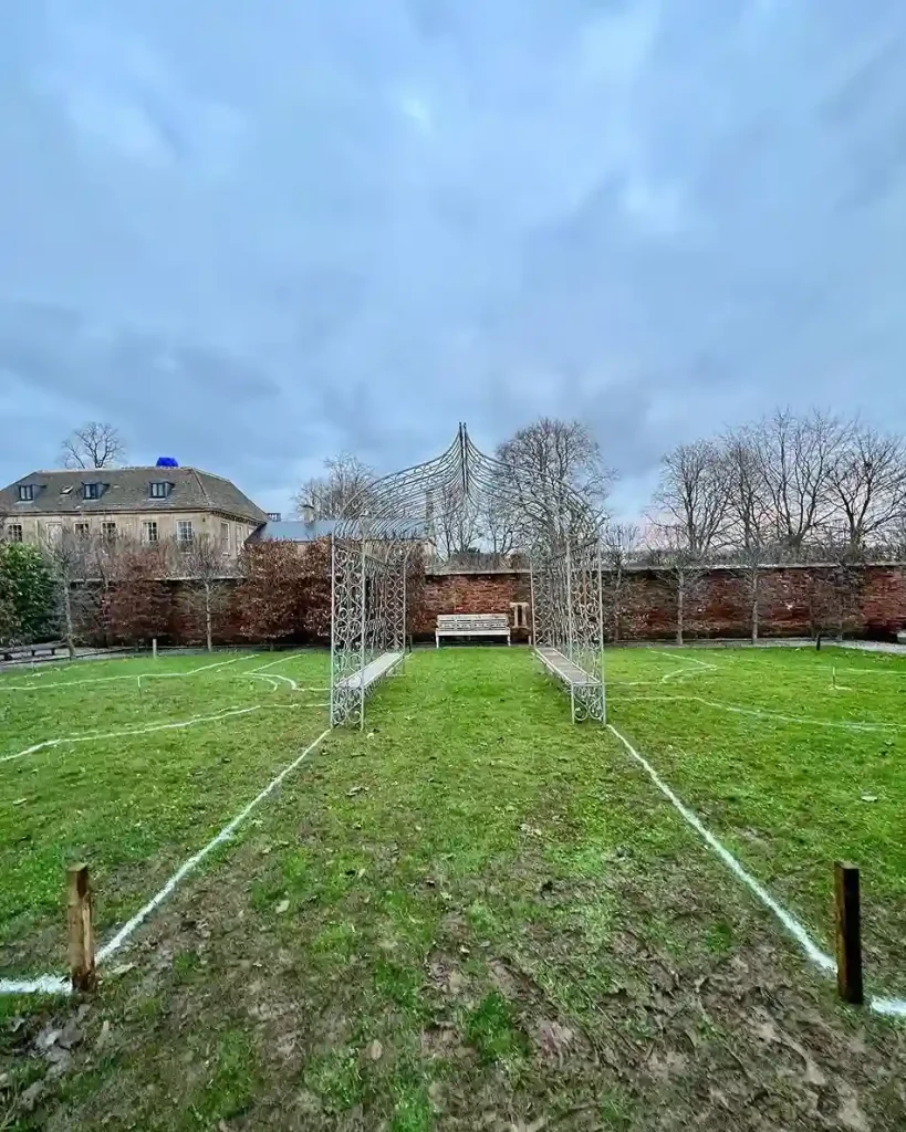 41. Rose Garden Maintenance and Care