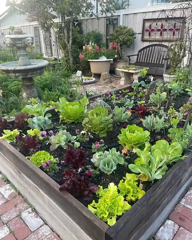 6 Companion Planting in a Potager Garden