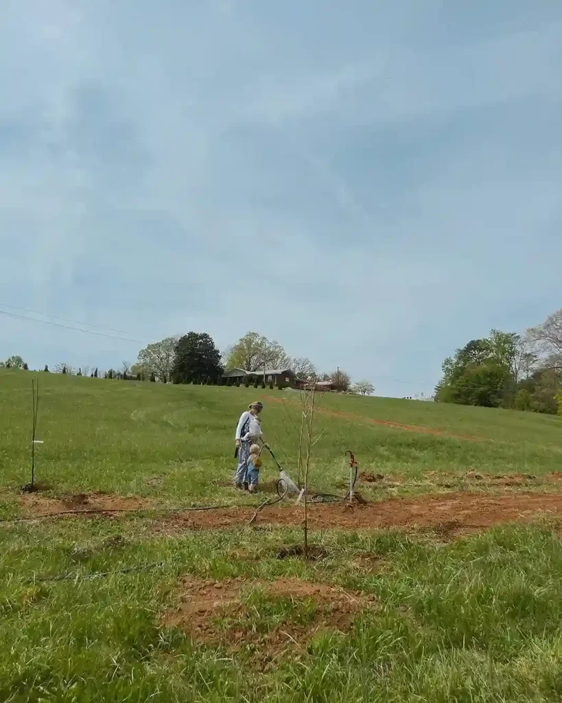 9 Best Time to Plant a Backyard Orchard