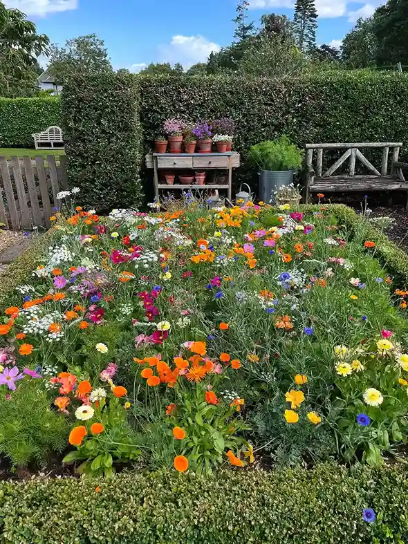 9 Edible Flowers in a Potager Garden
