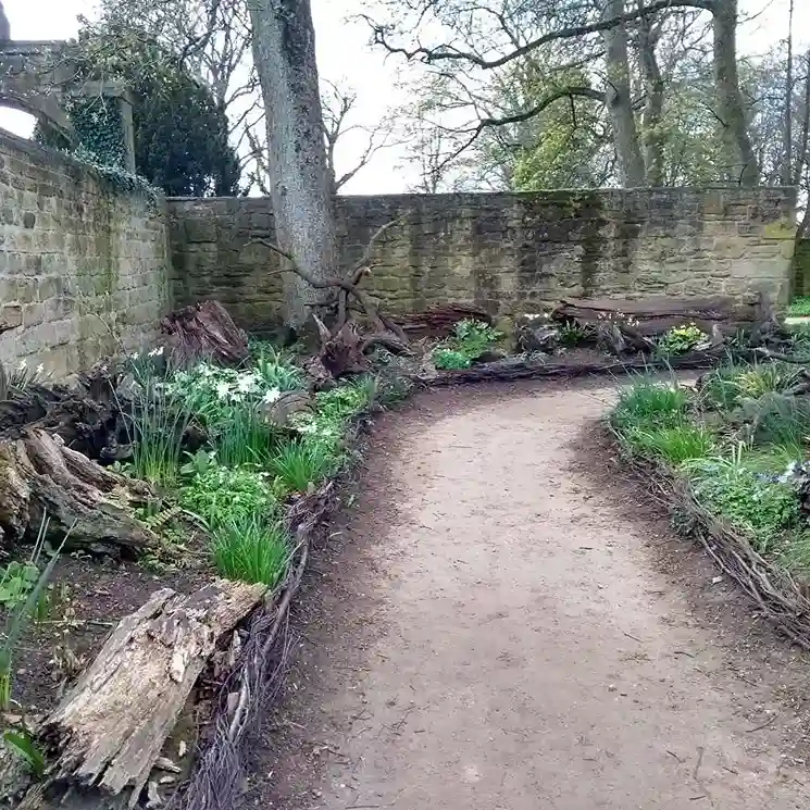 9 Large Statement Stumpery