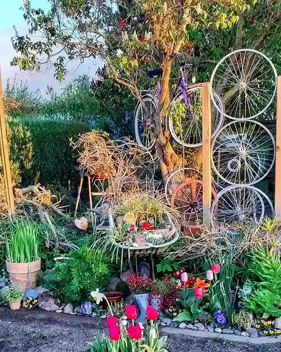 9 Old Bicycle as Garden Feature