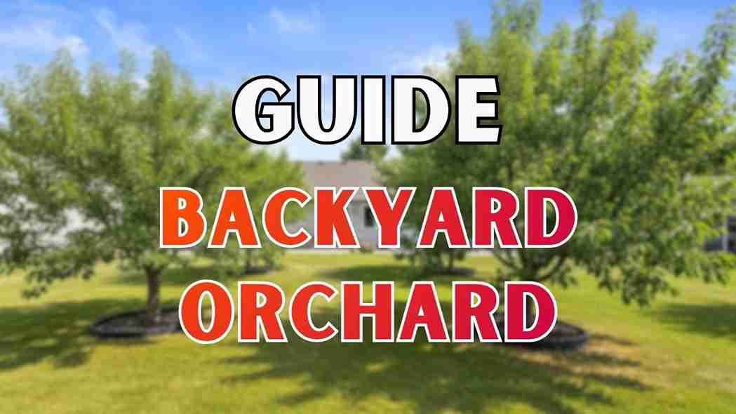Backyard Orchard: How to Plan, Plant and Grow Your Own Fruit Trees at Home