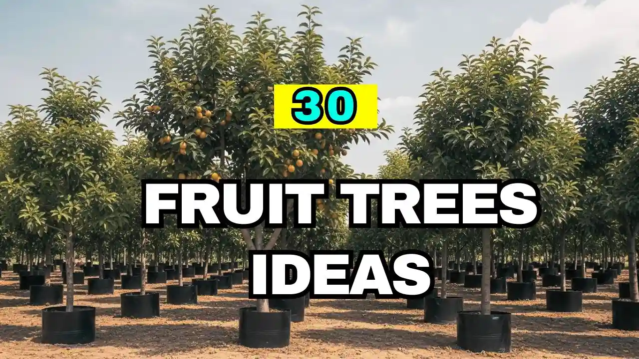 30 Fruit Trees to Grow in Your Garden for a Beautiful and Productive ...