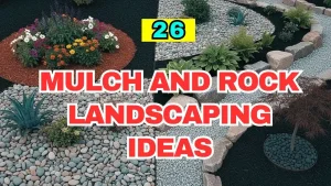 Mulch and Rock Landscaping