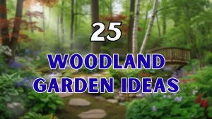 Woodland Garden Ideas
