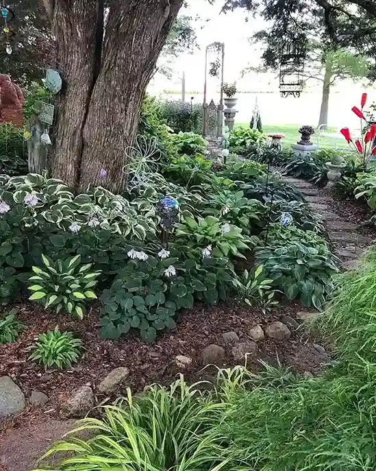 0 Hosta Garden