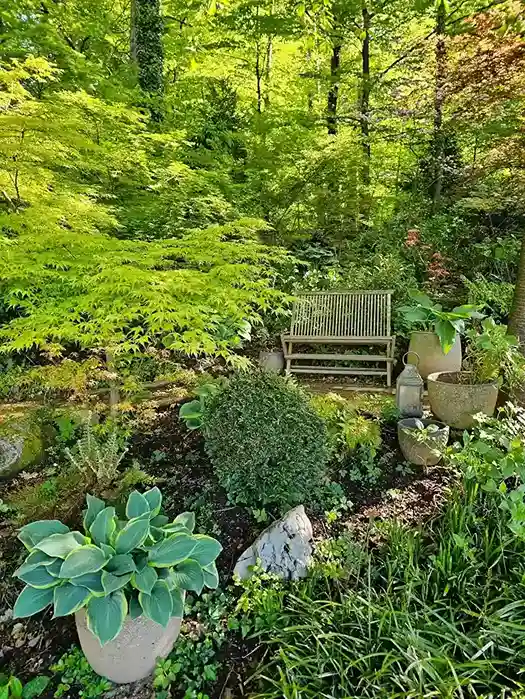 0 Japanese Garden