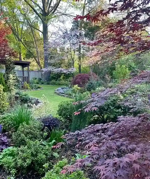 01 What Makes a Japanese Garden Unique
