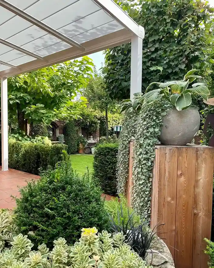 10 Growing Hostas in Containers and Pots