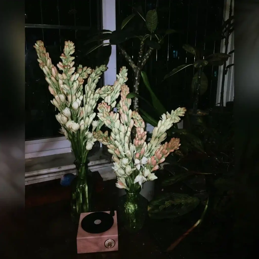 10. Tuberose Polianthes tuberosa