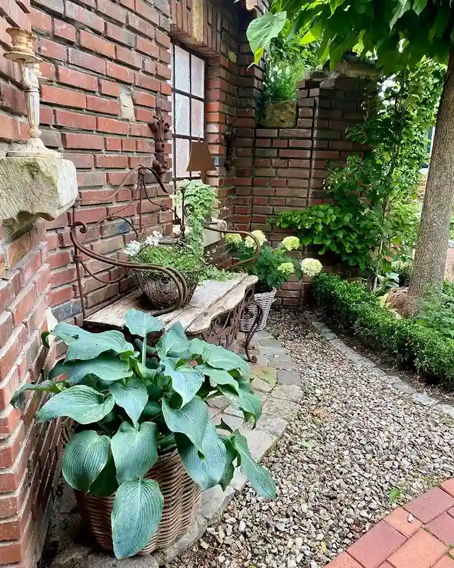 11 Hostas in Rock and Stone Gardens