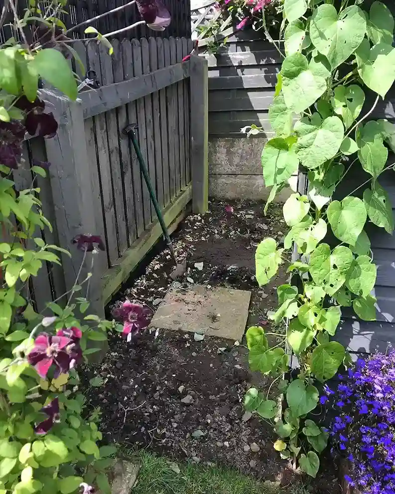 21 Creative DIY Ideas for Your Hosta Garden