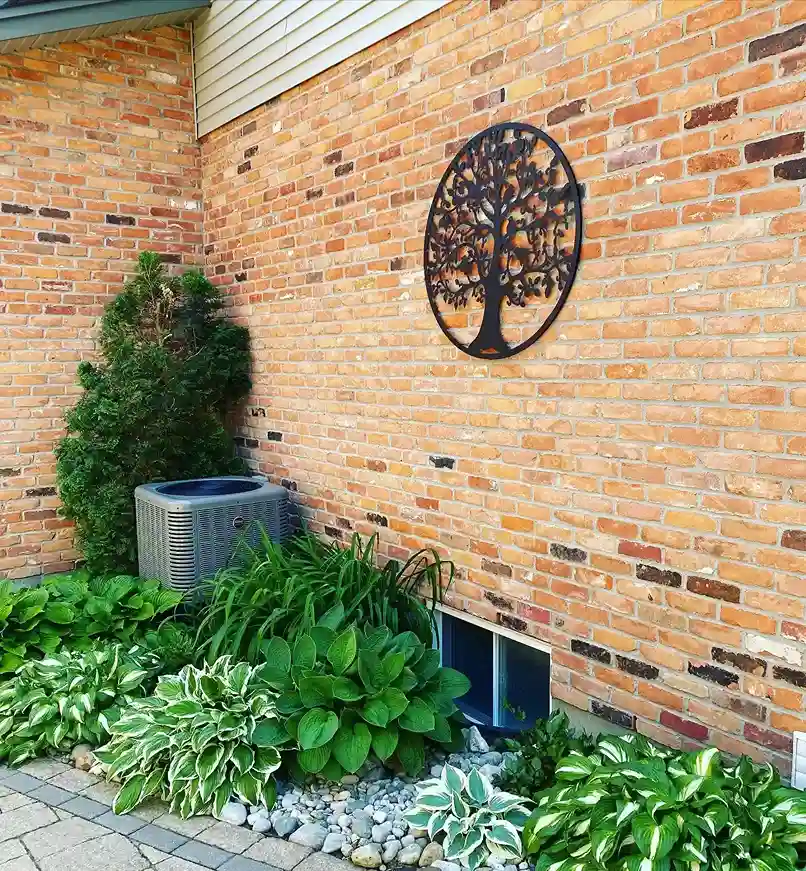 8 Hosta Garden Design Ideas That Look Amazing