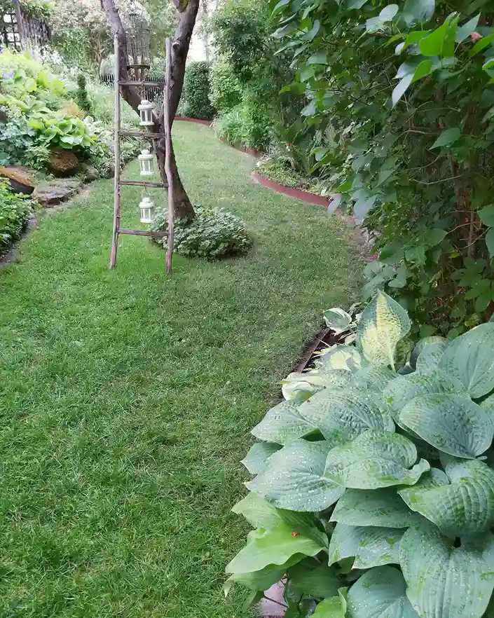 9 Using Hostas as Border and Edging Plants
