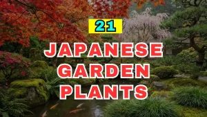 Japanese Garden Plants