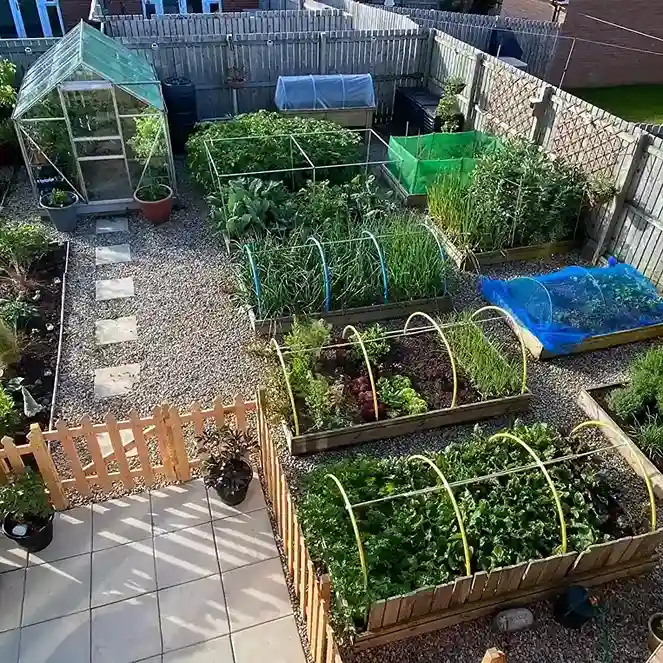 0 Survival Garden ideas