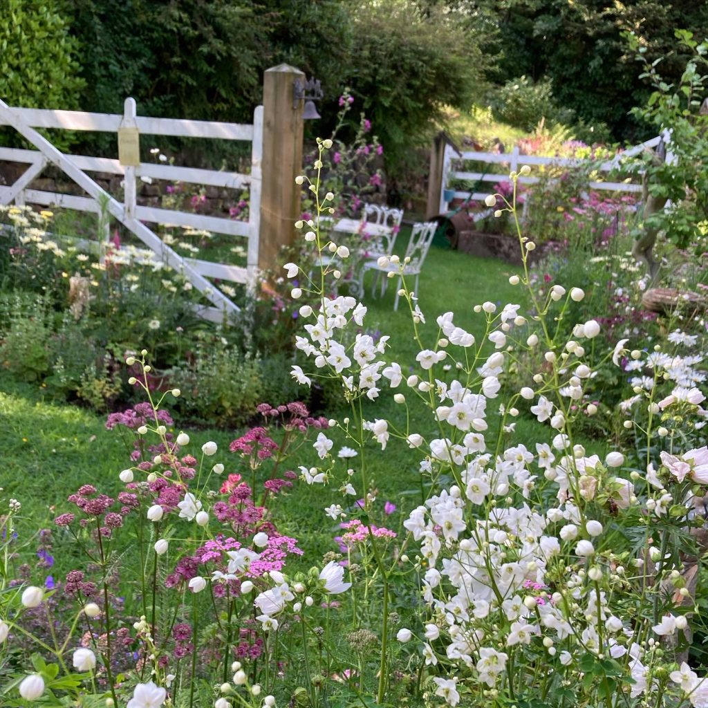 0 White Flower