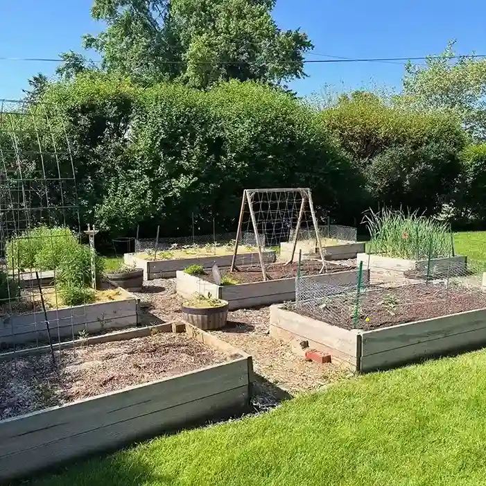1 What Is a Survival Garden
