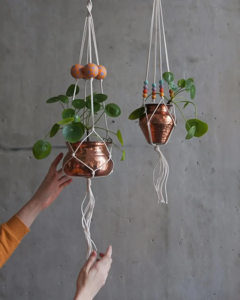 1. What Is a Crochet Plant Hanger