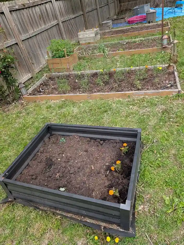 10. Perennial Plants for Long Term Food Security