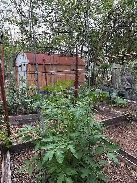 11. When to Plant Your Survival Garden