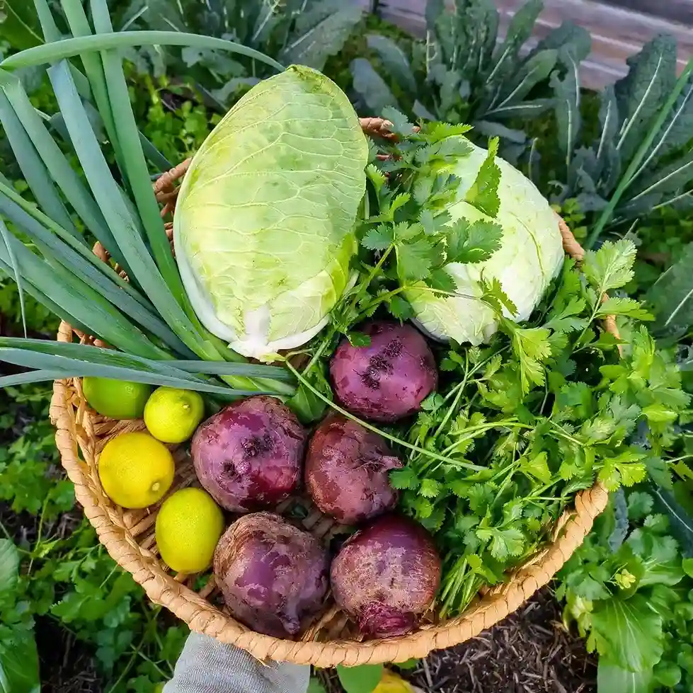 14. Companion Planting in a Survival Garden