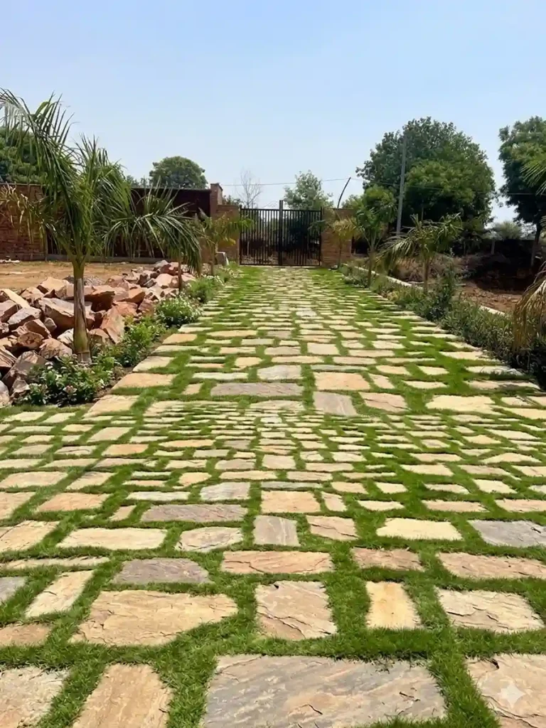 15. Grass Stepping Stone Walkway