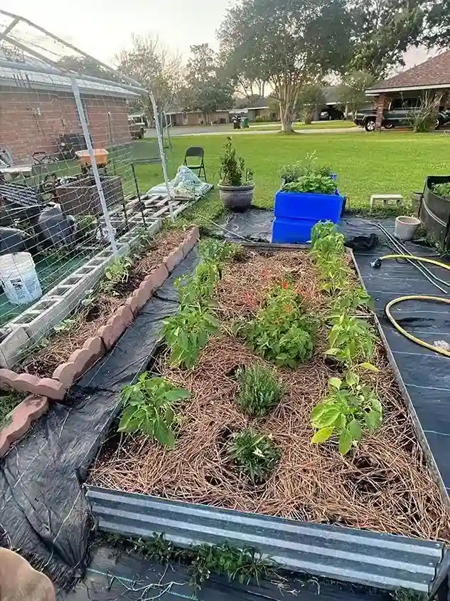 15. Water Management for Survival Gardens