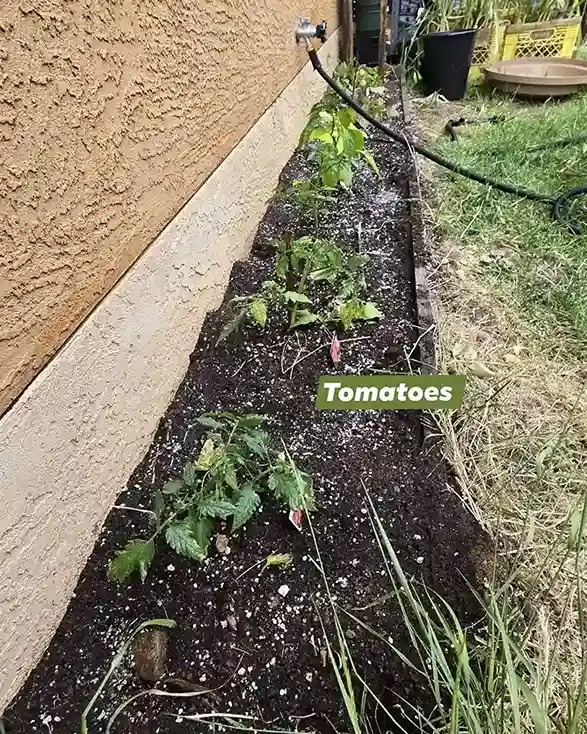 16. Building a Rainwater Harvesting System