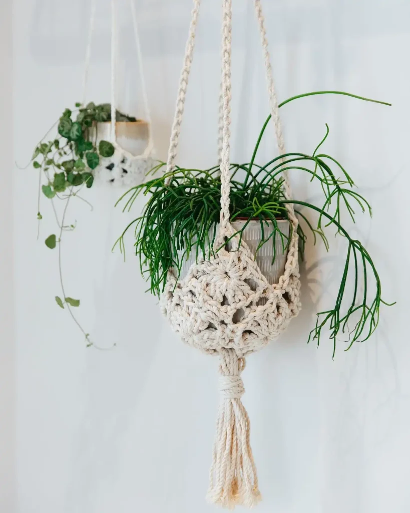 17. Crochet Plant Hanger with Fringe