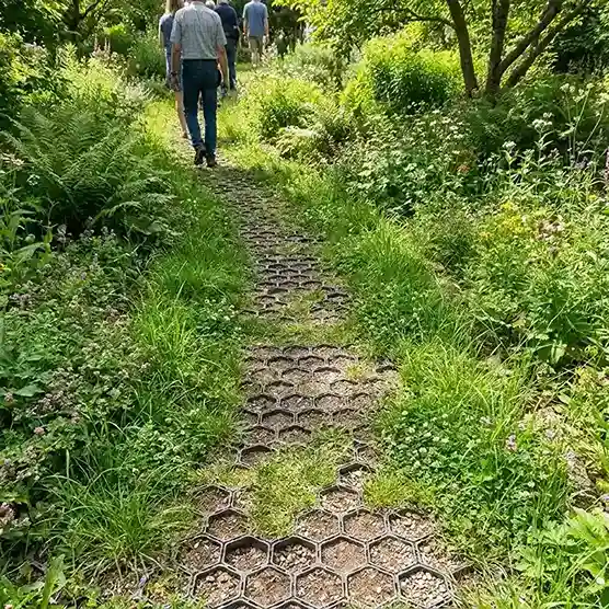 19. Permeable Grass Grid Walkway