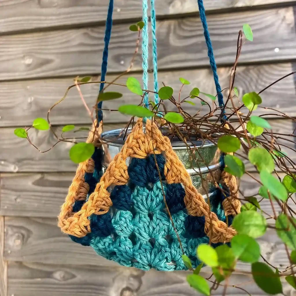 2. Why Make a Crochet Plant Hanger