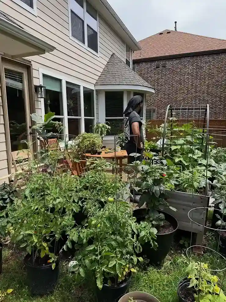 2. Why You Need a Survival Garden