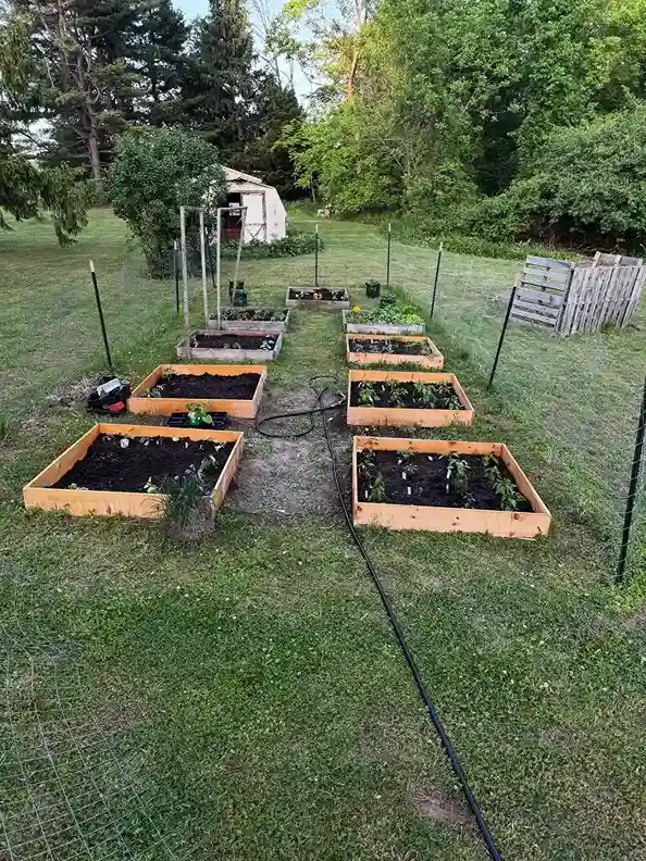 20. How to Harvest and Store Your Crops