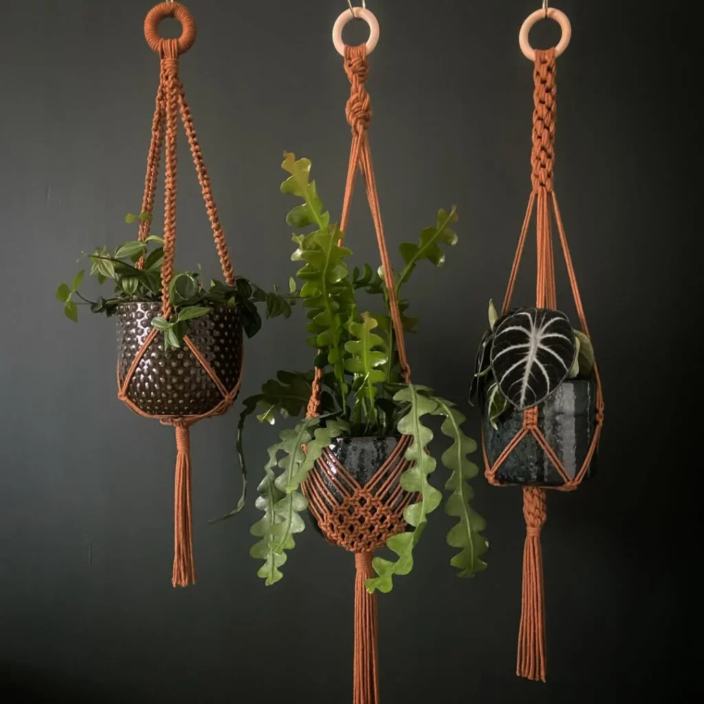 22. Crochet Plant Hanger as a Gift Idea