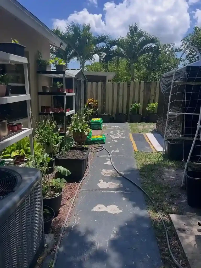 24. Integrating Fruit Trees and Berries