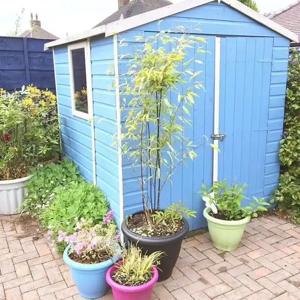 24. Man Cave Shed Ideas