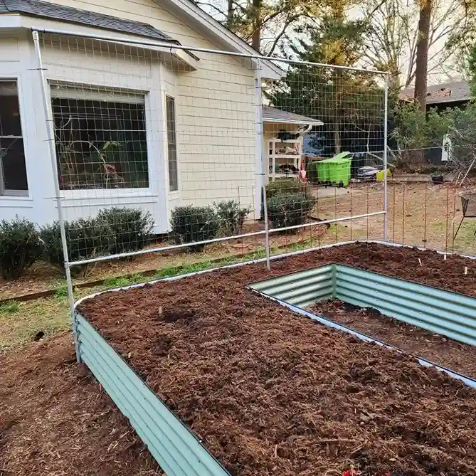 25. Survival Garden Mistakes to Avoid