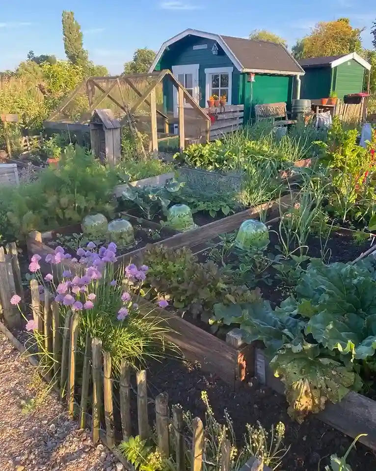 29. Eco Friendly Garden Shed Ideas
