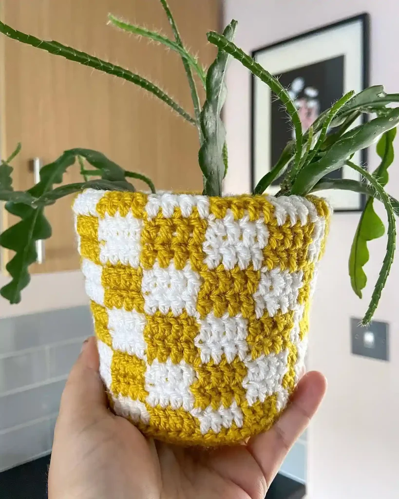 5. Basic Crochet Stitches Used in Plant Hangers