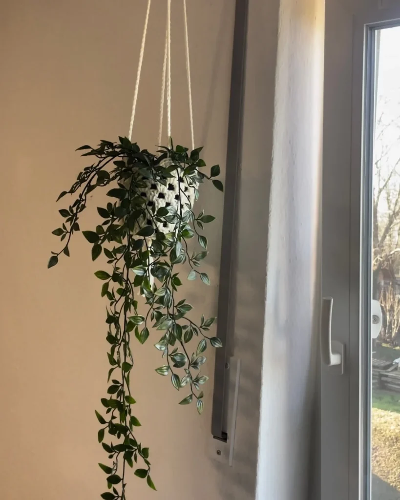 6. Simple Beginner Crochet Plant Hanger