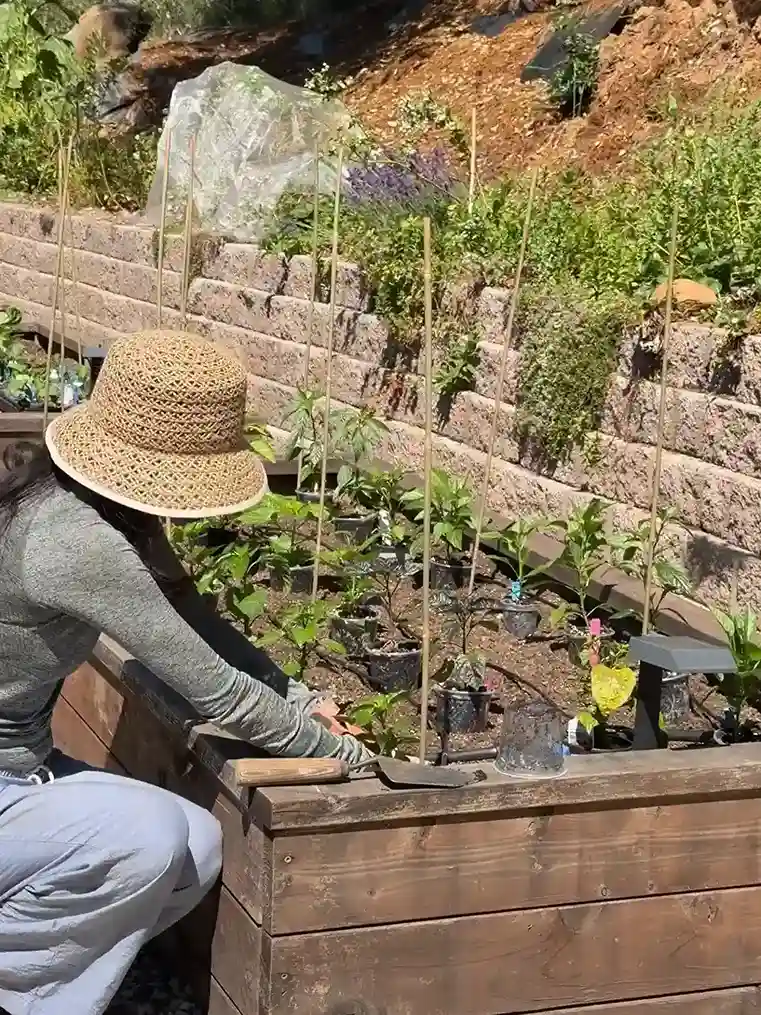9. Fast Growing Vegetables to Include
